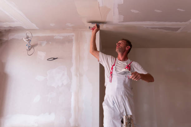 Best Interior Painting  in Pipestone, MN